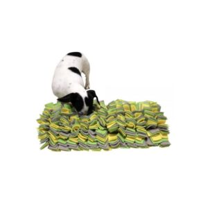 Alfombra Entrenamiento y Juego