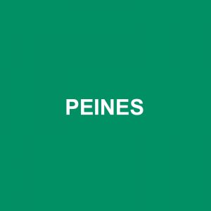 Peines