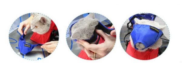 Bozal Rápido Nylon para Gato - Imagen 5