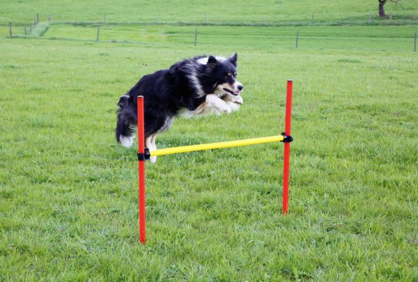 Set Completo Agility - Imagen 10