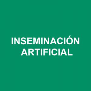 Inseminación Artificial