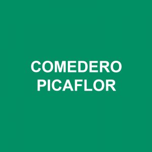 Comedero Picaflor